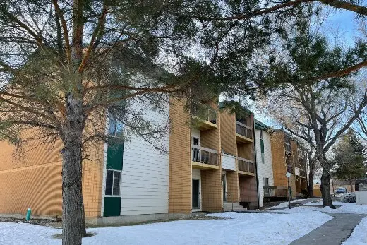 birchwood apartments